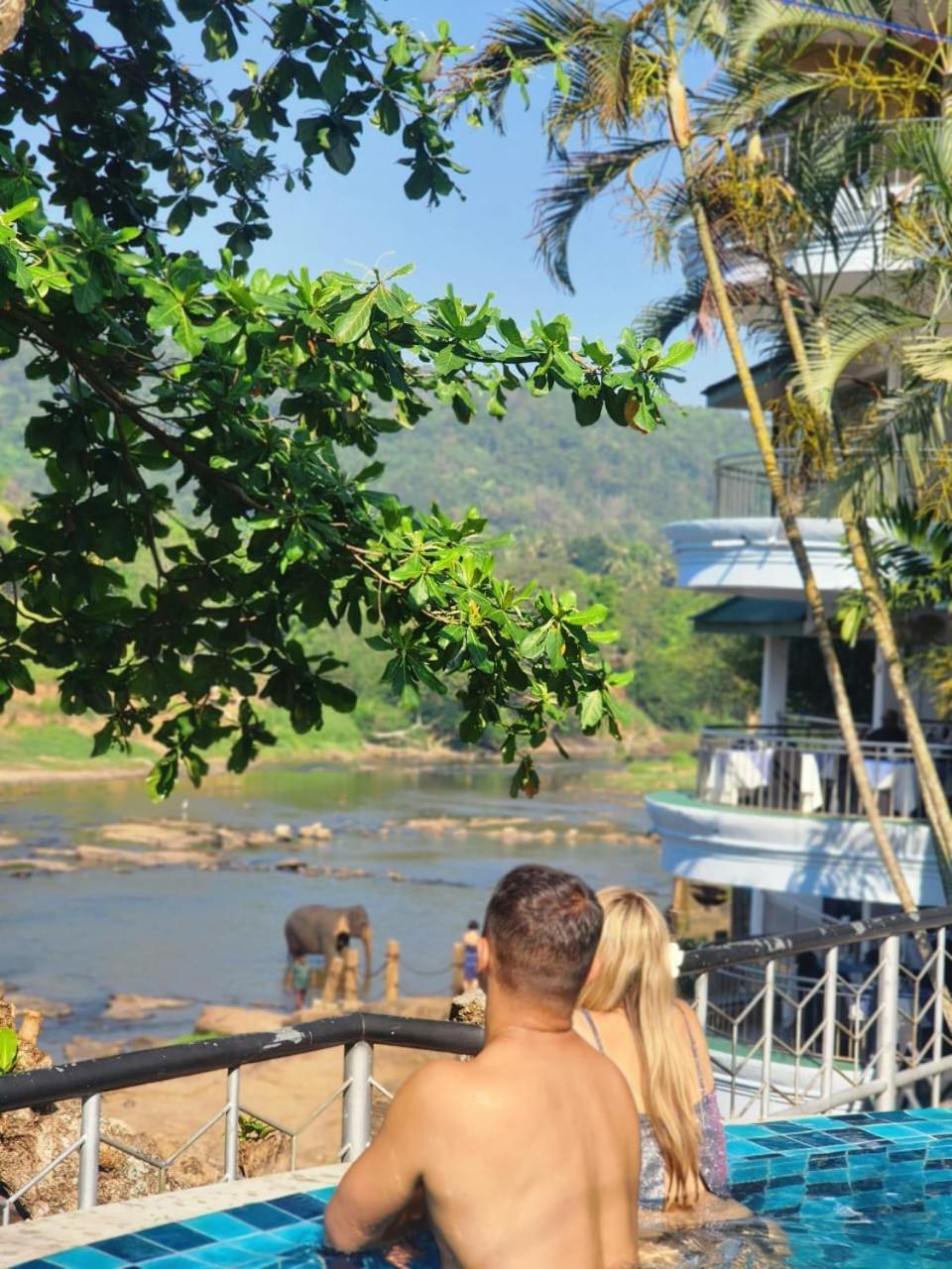 Peacock Village Pinnawala - Offer Alert! Elephant Welfare Program Ngoại thất bức ảnh
