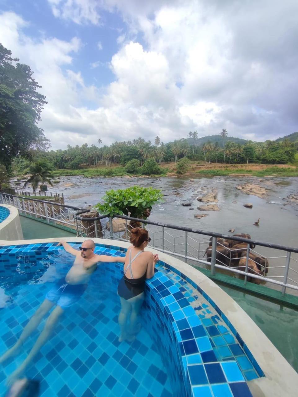 Peacock Village Pinnawala - Offer Alert! Elephant Welfare Program Ngoại thất bức ảnh