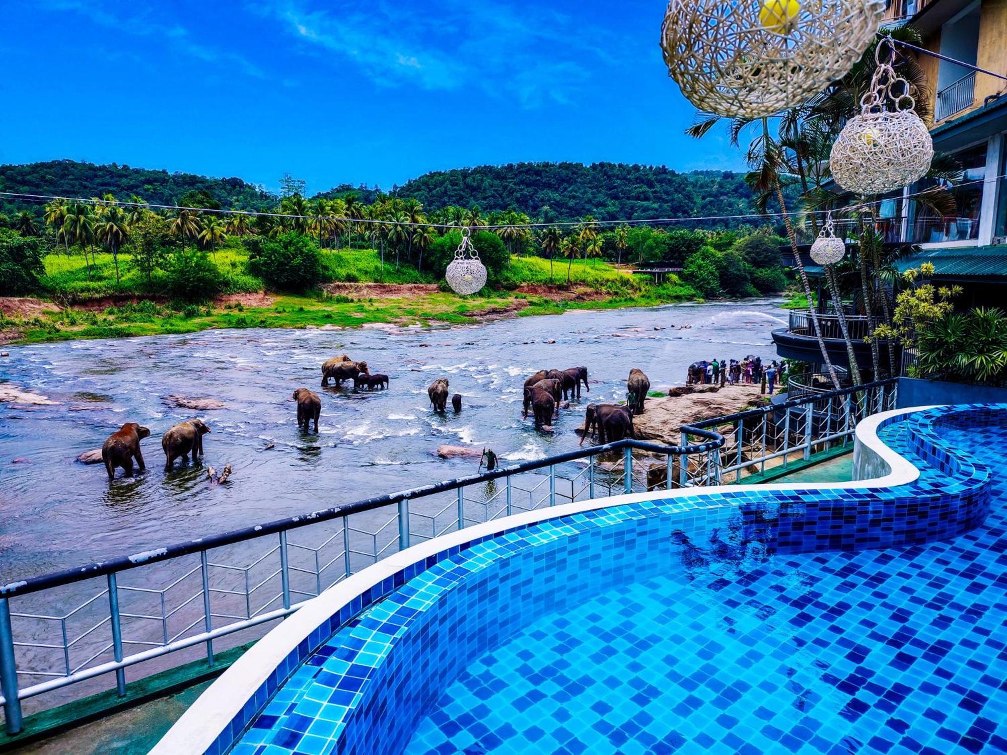 Peacock Village Pinnawala - Offer Alert! Elephant Welfare Program Ngoại thất bức ảnh